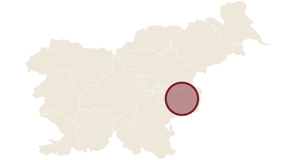 Pecjak-lokacija-Posavska-regija