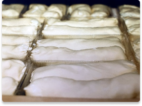 burek