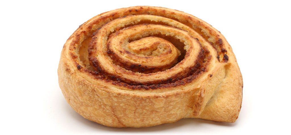 Osja gnezda